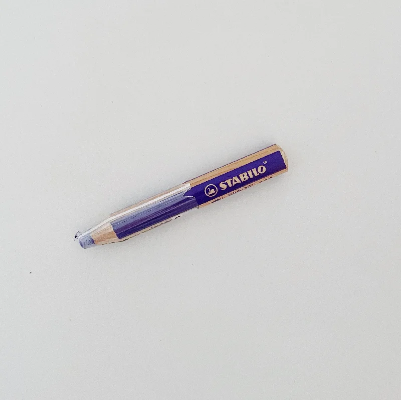 Violet Stabilo Crayon