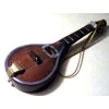 Mandolin VMMM09014